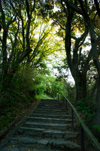 130523「禄剛崎」石川県珠洲市狼煙町014