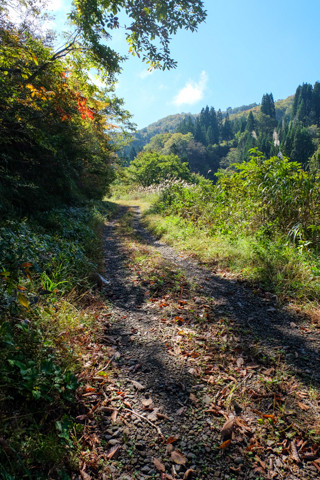161019_04石川「谷トンネル上の旧道」20