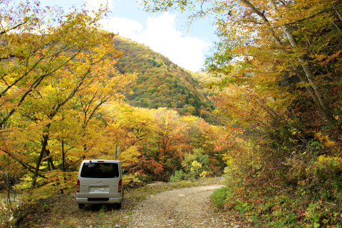 121024岐阜・六厩林道の紅葉363