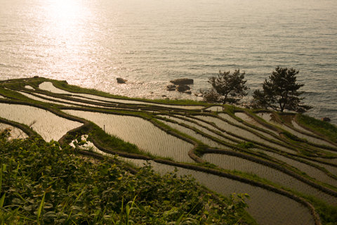 130522「千枚田周辺」石川県輪島市白米町162