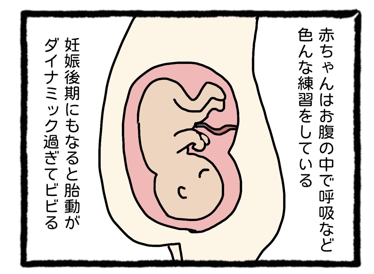 脳内胎動イメージ えこりの連絡帳