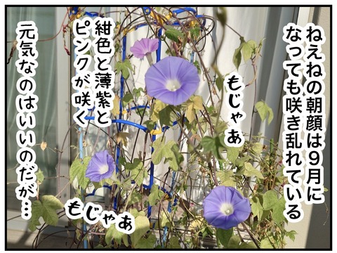 無題971_20240913100010