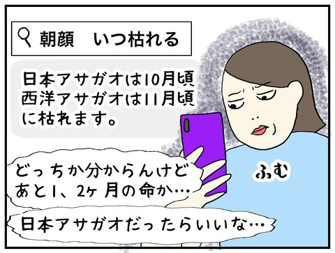 無題970_20240913100017