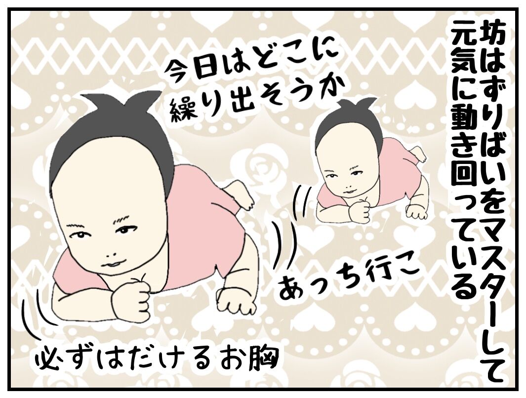 はいはいの前兆 なプリケツ運動 えこりの連絡帳