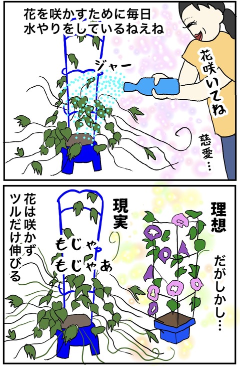 無題880_20240726094508