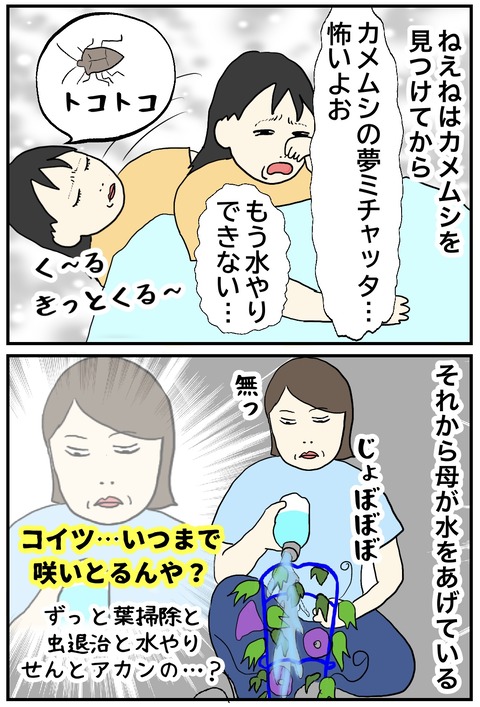 無題971_20240913100010