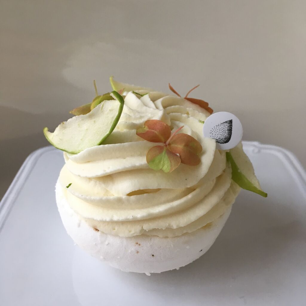 休日限定 パリ パティスリー ガイド パティシエと お菓子好きのための 柴田書店 編者 Coplawfirm Com