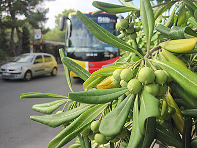 $4コマ漫画 - 英国紳士と国際結婚@ロンドン