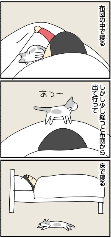 20231202b