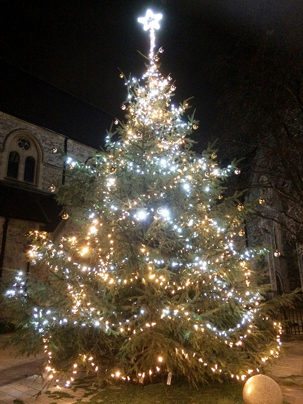 IMG_0528