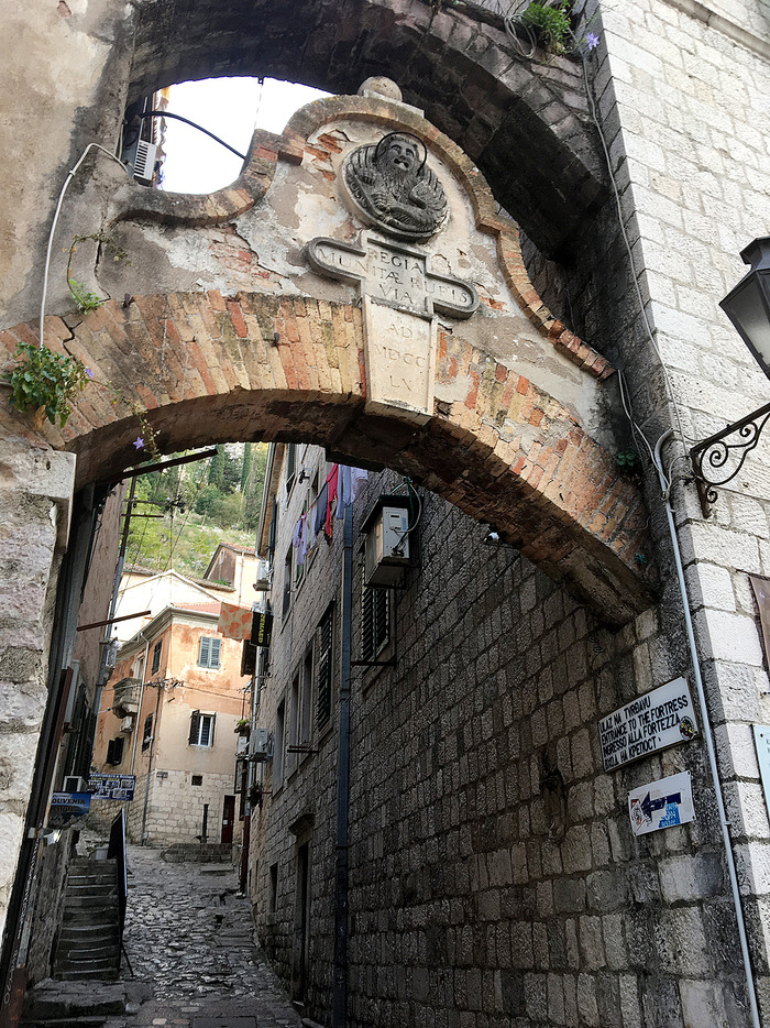 aIMG_8176