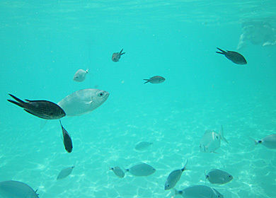 $4コマ漫画 - 英国紳士と国際結婚@ロンドン