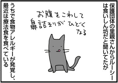 0704a
