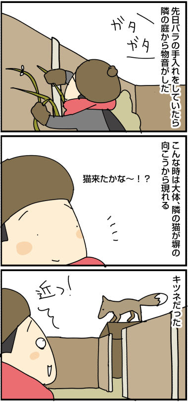 2019012302