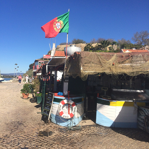 bIMG_6663