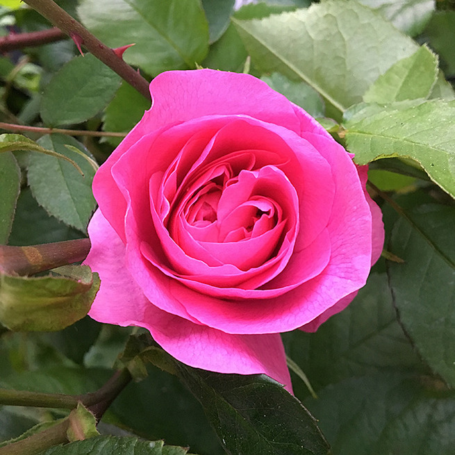 あIMG_8684