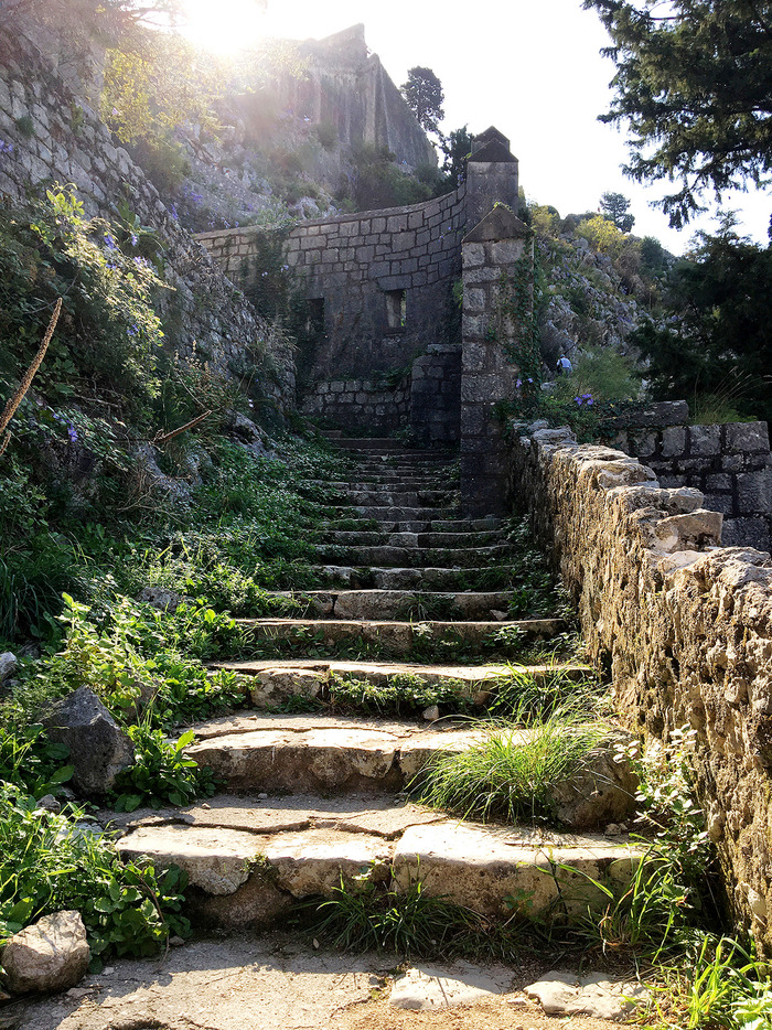 aIMG_8447