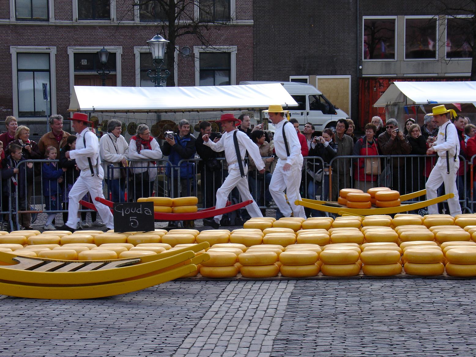 オランダ アルクマールのチーズ市 Alkmaar トラベルプランナー 持田 爽太 の 世界は広い