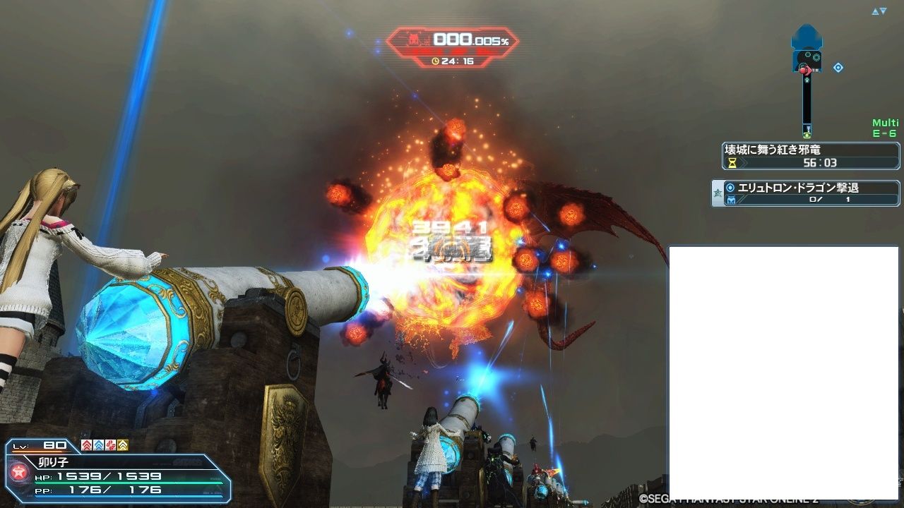 エリュトロン ドラゴンの感想 卯りぷそっ