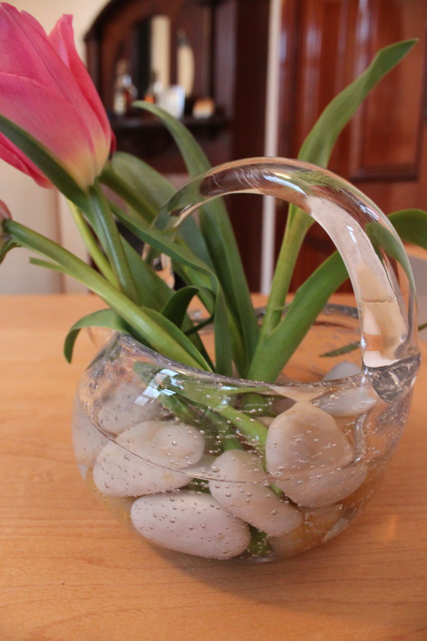 剣山の代わりに Elanparadoxのブログ