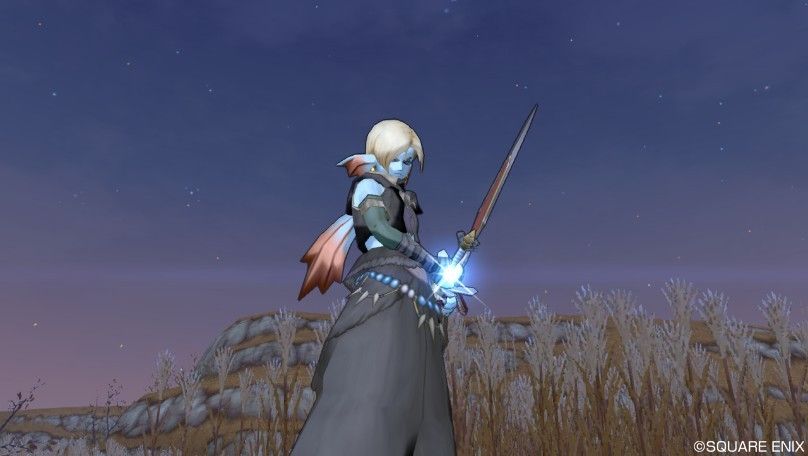 無心こうげきのススメ ドラクエ10 アストルティア最強剣士を目指すブログ ドラクエ10