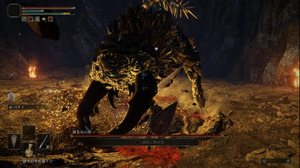降る星の成獣