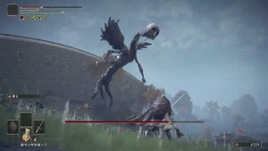 死の鳥