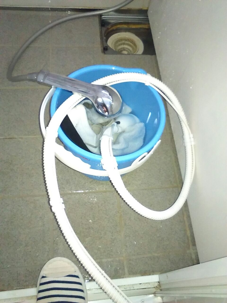 風呂場天井の虫 東京の汚部屋から脱出して新居を建てるブログ