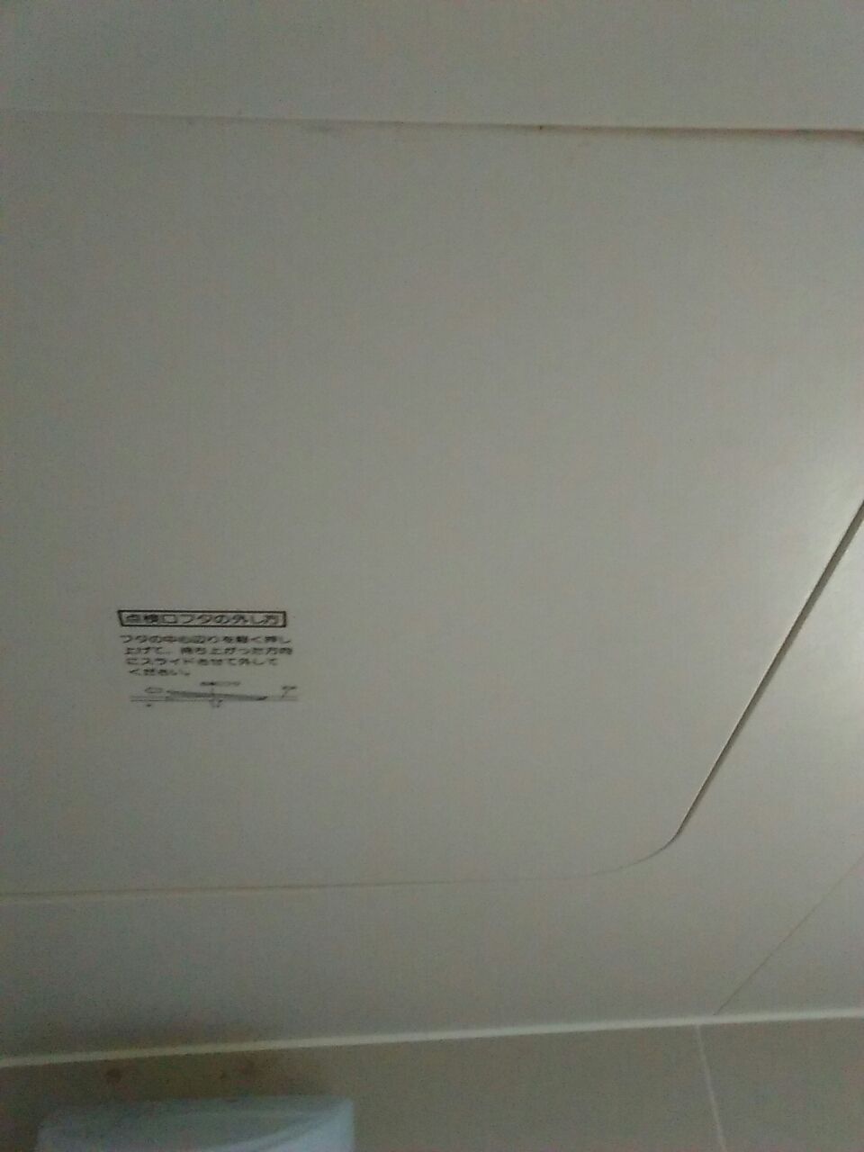 風呂場天井の虫 東京の汚部屋から脱出して新居を建てるブログ