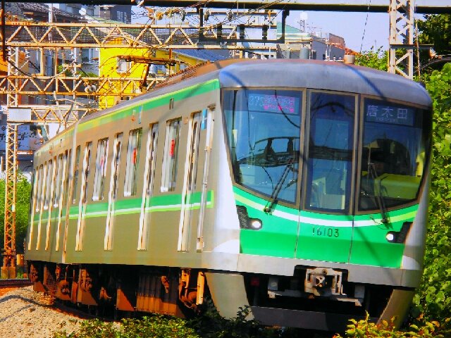 イメージ 8