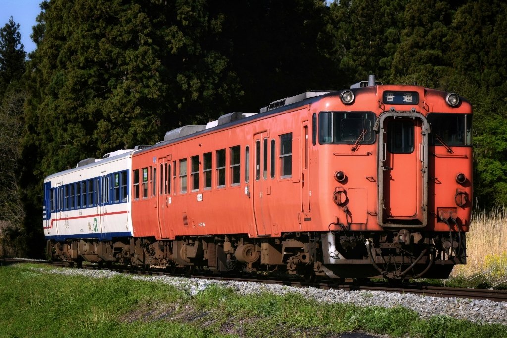 イメージ 7