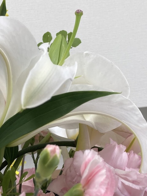 お花　2