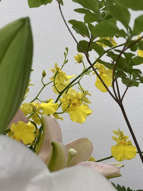 お花　3