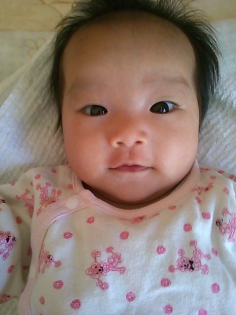 大木戸子ども園 41歳初妊娠 日々のメモ 45歳二人目不妊治療