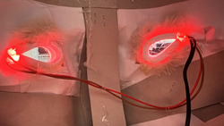 内側はそんなに眩しくない