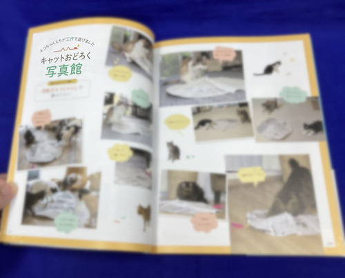 電子ニャン工作_08猫の写真集としても楽しめます