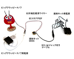SK555-22
