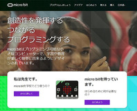 写真3：サイト1