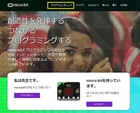 写真4：サイト2