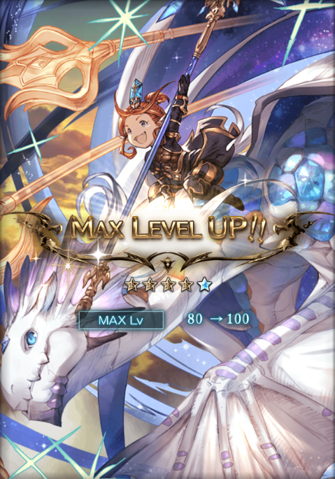 gbf-ss224