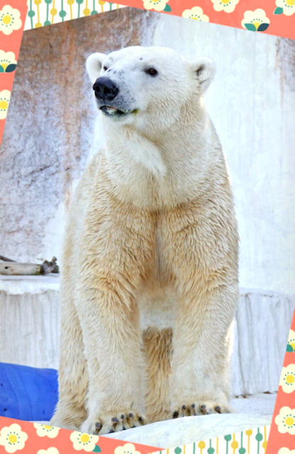 19-12-29-16-33-07-790_deco_1