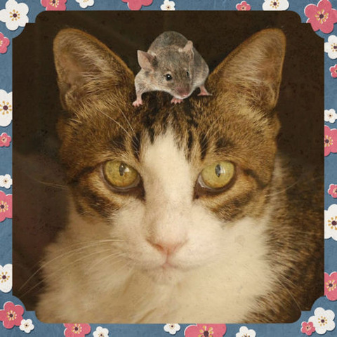 19-12-29-16-26-39-722_deco_1