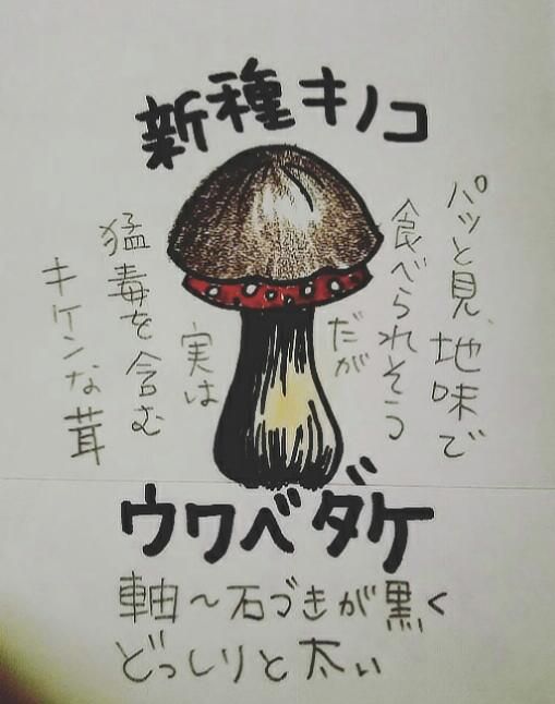 いらすとさんの絵がステキだからまとめてみたよ 錦織圭選手を追っかけよう のブログ いらすとさんの絵がステキだからまとめてみたよ 錦織圭選手を追っかけよう のブログ
