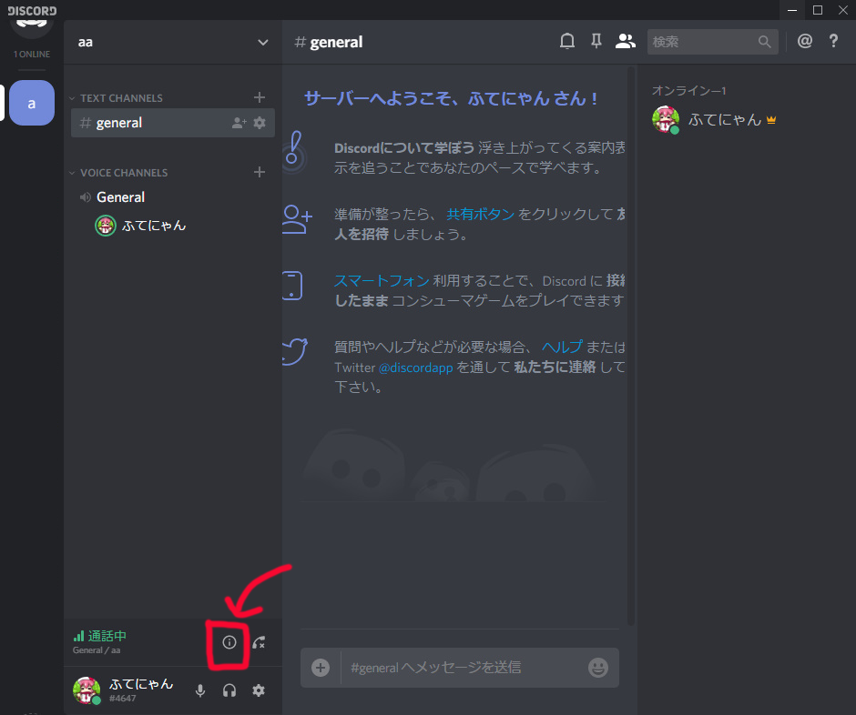 Discordのサーバー内で画面共有をする方法 ふてにゃんの記録 Discordのサーバー内で画面共有をする方法 ふてにゃんの記録