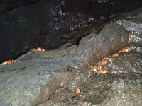 P7120354