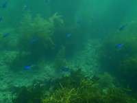 P7090812