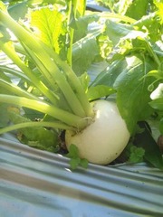 PC040044