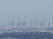 スカイツリーfrom高尾
