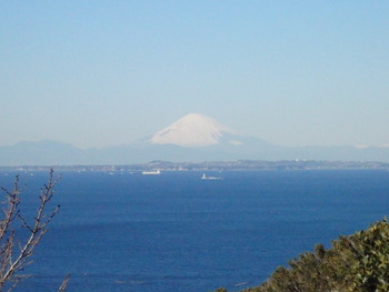 P1132835