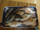 P3280242